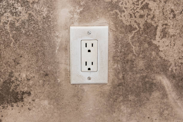 Best Dehumidification Services  in Harrisville, PA